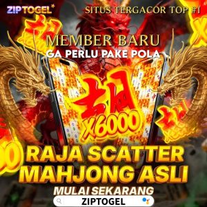 situs ziptogel
